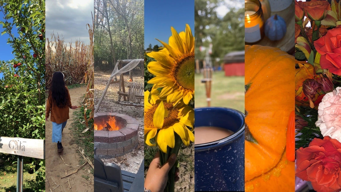 Things To Do This Fall 🍂🕯️